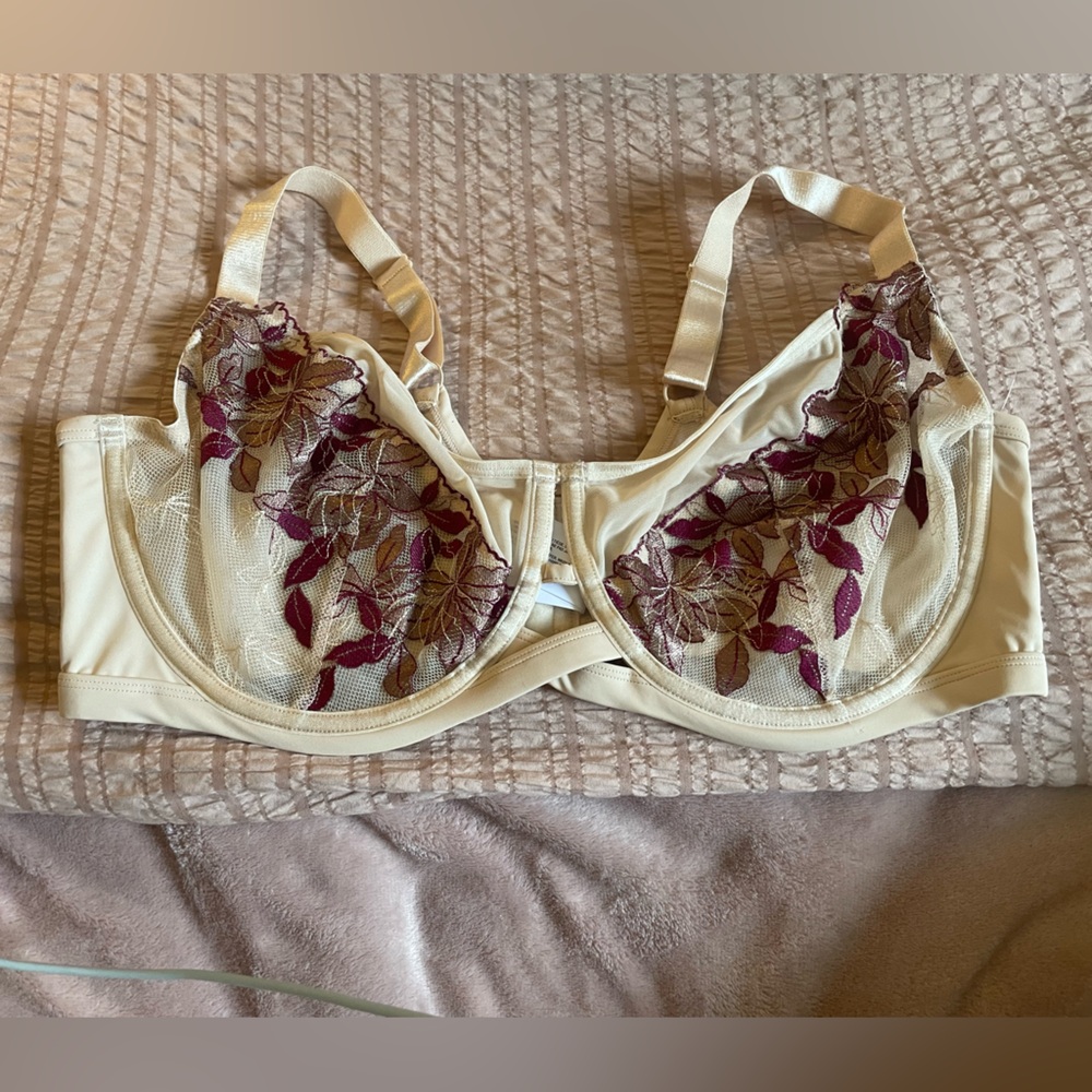 NWoT 40DDD nude and deep red lace trimmed bra
